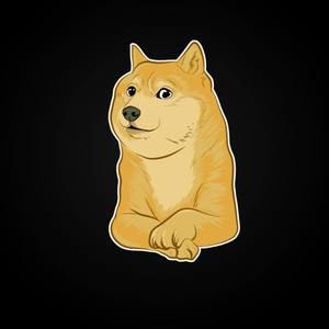 Meet your Posher, Carson